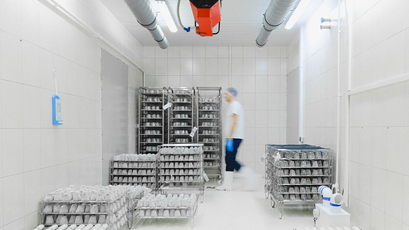 White refrigerated food-storage room with stacked egg trays, overhead cooling equipment and a blurred worker